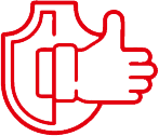 Icon 1